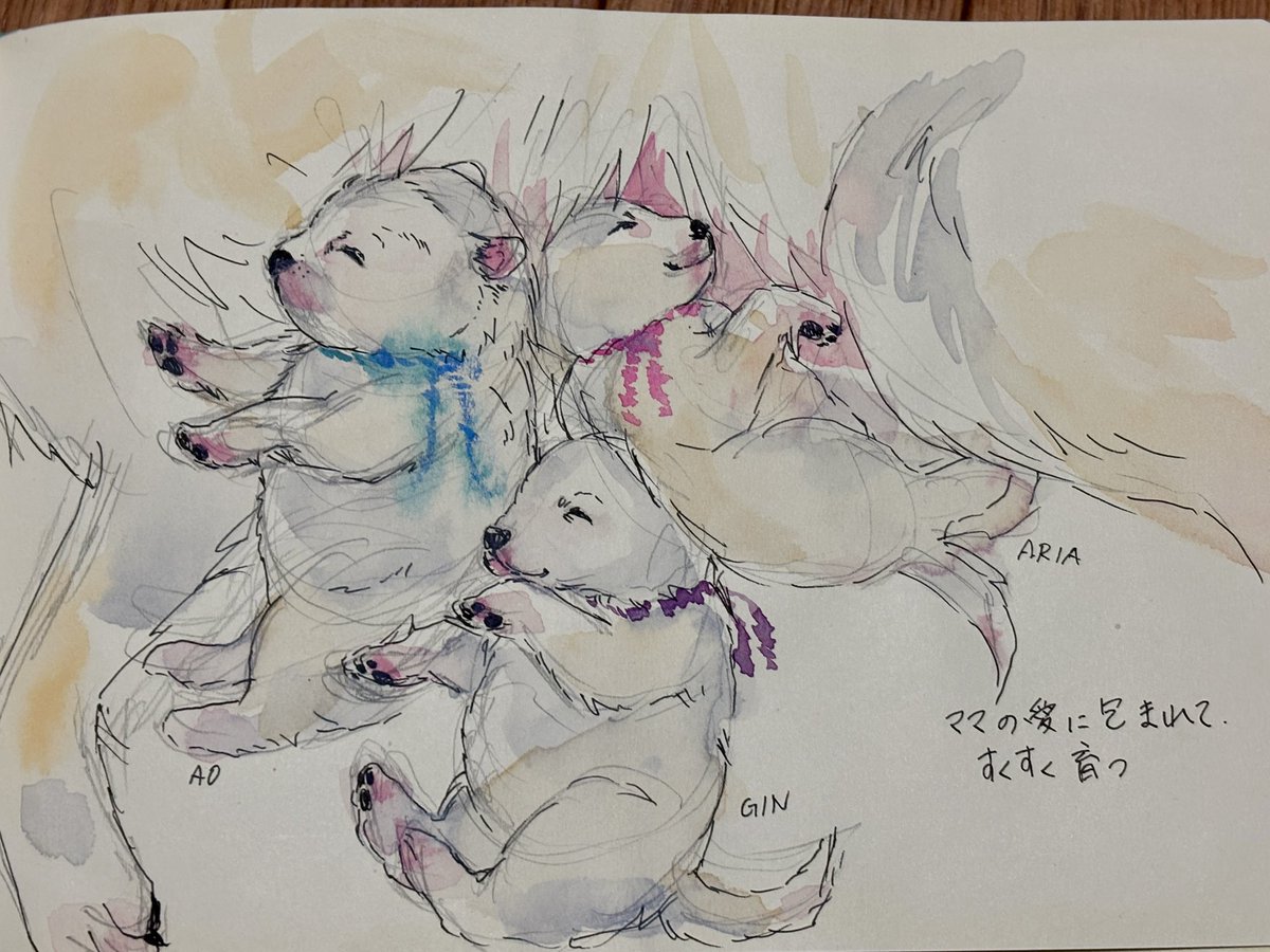kainehenalu's tweet photo. あおちゃんパピー時代のかんたんスケッチ🐻‍❄️コア君が病気になってから、なんとなく絵筆が持てなくて絵を描いていなかった。絵を描くのは写経のようにまっさらになれる反面、パワーもいる。また描いてみよう。 https://t.co/FndahiEl9A