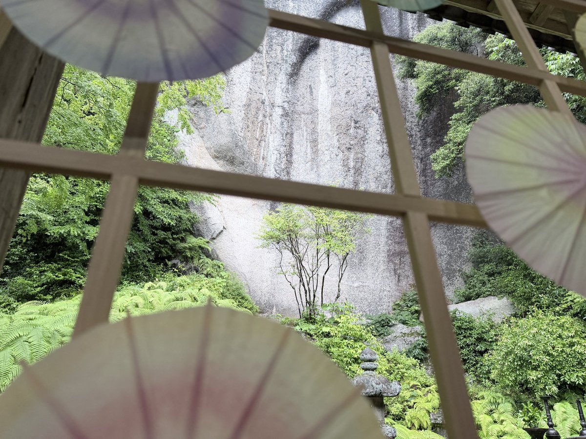 kasagidera's tweet photo. 6月25日
笠置山の朝は、普段よりも風が吹く雨空です。
正月堂をお飾りしている「かさもりの戸」は雨の影響で木戸を半分開けております。
台風や災害に気をつけてお過ごしください。 https://t.co/T8IKztU7E9