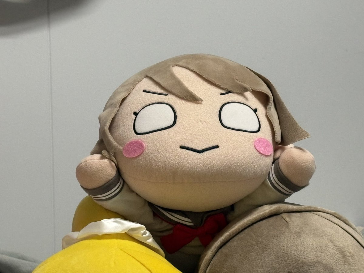 track_boxer's tweet photo. おは曜 https://t.co/M3VQpnIsWF