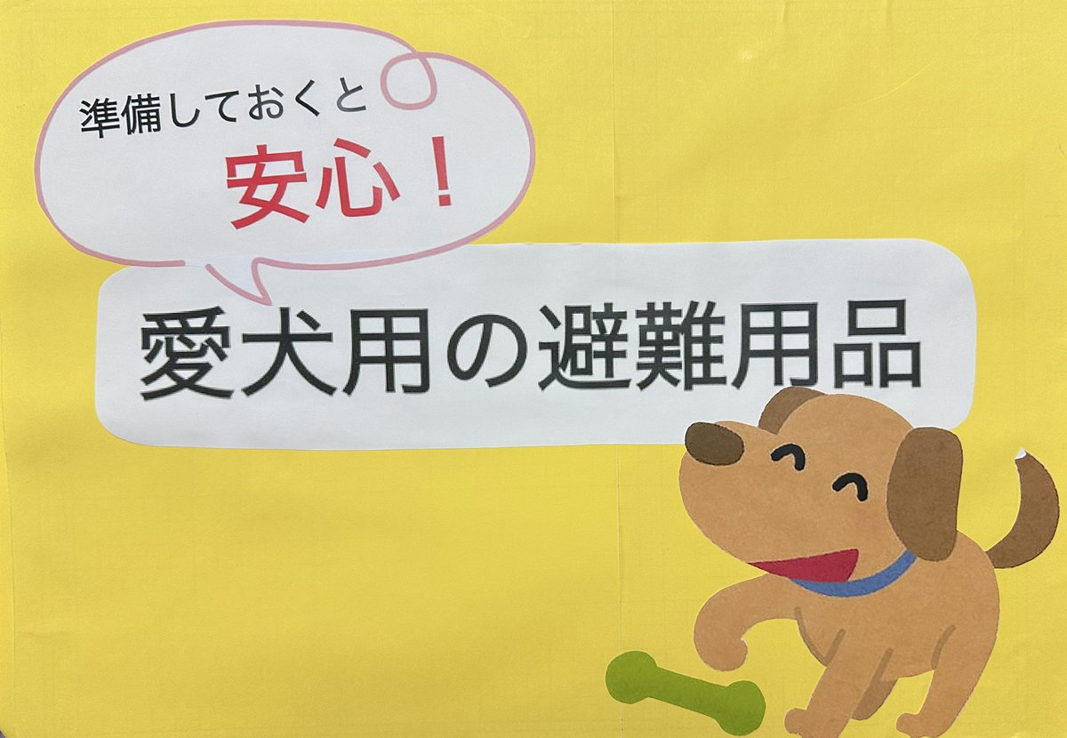 Otonon0128nikki's tweet photo. day 2062🍀

おはようございます

先程、最大震度6強の地震がありましたね。
我が家のわんこも、怖がることなく家族みんな無事でした。

わんちゃんの命を守る、避難時に必須のクレートと、防災グッズをアップします⛑️🏠
犬はクレートが安心する場所🍀
音と保護犬奏もだいすきな空間です🐶✨️

引き続きお気をつけて過ごされてください。
落ち着いて、身を守ってください🙏🏻

#毎日ハッピーおすそわけ