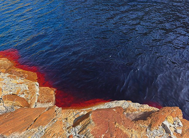 ArteMad's tweet photo. Sobre la abstracción que está presente en la realidad.

ÚLTIMOS DÍAS para adentrarse en #LeandroNavarro en los paisajes de Gerardo Pita inspirados en Riotinto (Huelva).
https://t.co/i8zx4aM8mG

📆 Hasta el 3 de julio de 2026. https://t.co/VKZSP2h68f