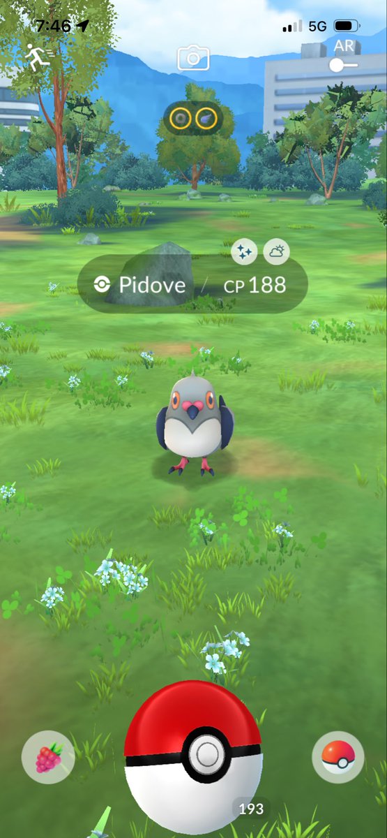 Frautsy's tweet photo. F2P Shiny only POGO account update. 

Unova (24/156)
National Dex (73/1025 https://t.co/uZs4yYgU8O