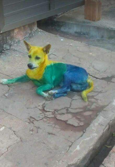 depaulduro's tweet photo. Agradeço tanto a vc vini https://t.co/OqCzBHFmVg