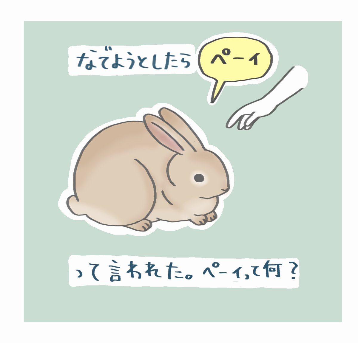 booboousag's tweet photo. うさぎの謎の鳴き声

声帯は無いはずなんですがうちのうさぎはなんか色んな音を出す https://t.co/CHR0DSXeyq