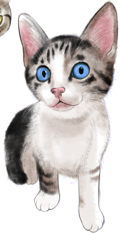 「猫練習 この子は保護して里子に出した子。今6歳くらいかな。」|竹下けんじろうのイラスト