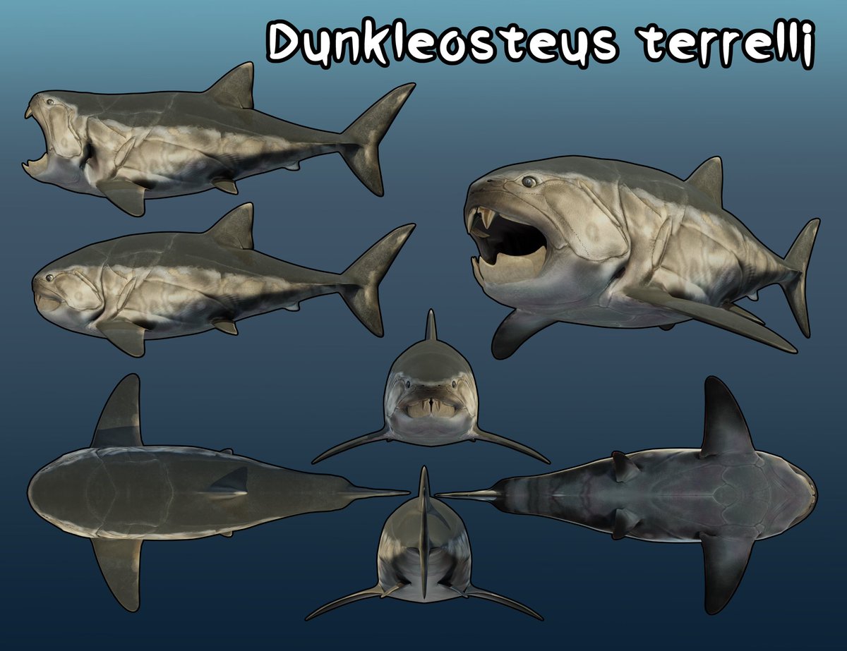 Evoincarnate's tweet photo. Well kinda
You’d probably still be able to see the bones but the flesh around d them wouldn’t be sunken in
Like this!
Modern fish also exhibit this “shrink wrapping” where bones are visible but not sunken 
Talked with a researcher to make it as accurate as possible https://t.co/V6vhEm7GVi