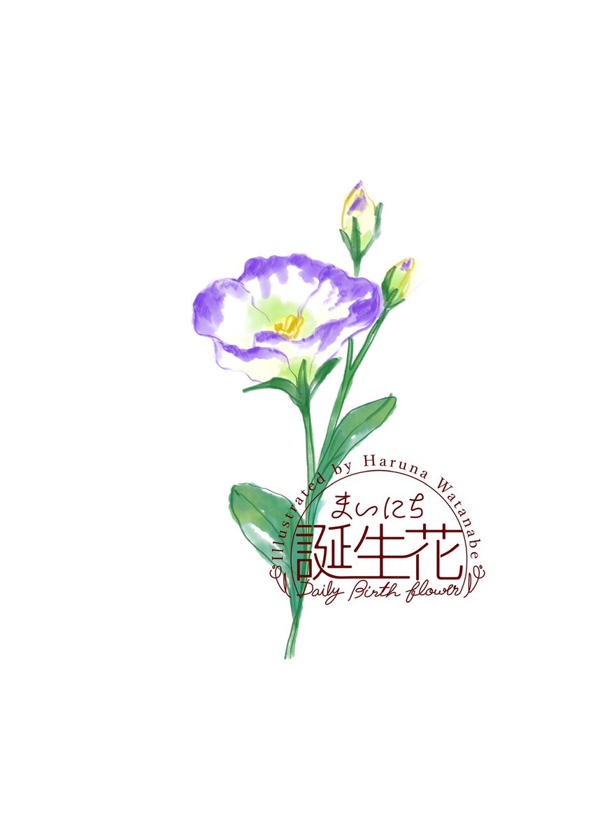 「6月25日 トルコギキョウ 花言葉 希望 #1日1絵 #まいにち誕生花」|渡邊 春菜のイラスト