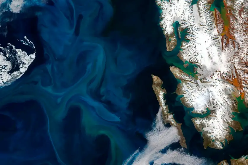 AnnaKavanaugh's tweet photo. The #ArcticOcean has reached a chemical tipping point. Severe ice melt is stripping the sea of nitrate, vital to sustaining plankton populations. Protecting global food webs from collapse requires urgent and effective policy action. #climate #environment

https://t.co/fSjz5dCnaQ https://t.co/WLMxRSp0dA