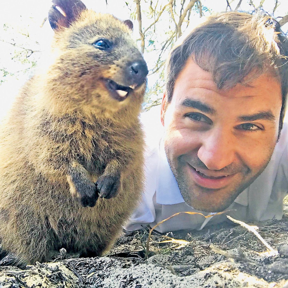 wigglemum's tweet photo. @jk_rowling Roger Federer with his quokka friend. https://t.co/mkhx8qQLq7