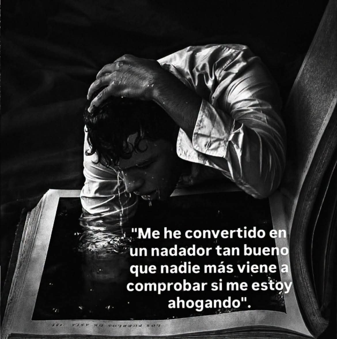 angelo_uf's tweet photo. https://t.co/zBWJBBY8J2