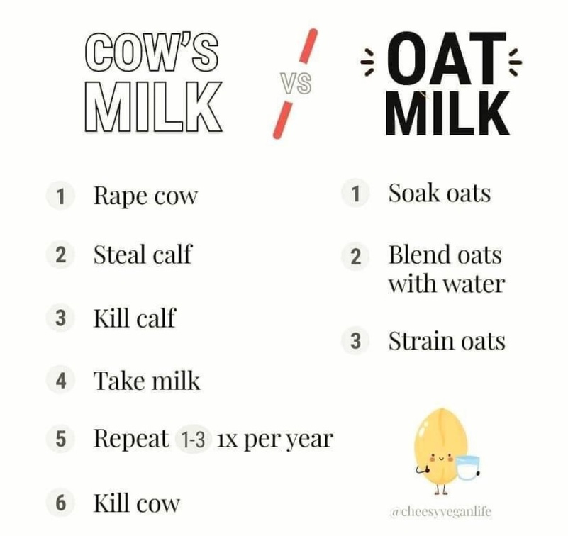 veganfuture's tweet photo. https://t.co/alIIdQkJL1