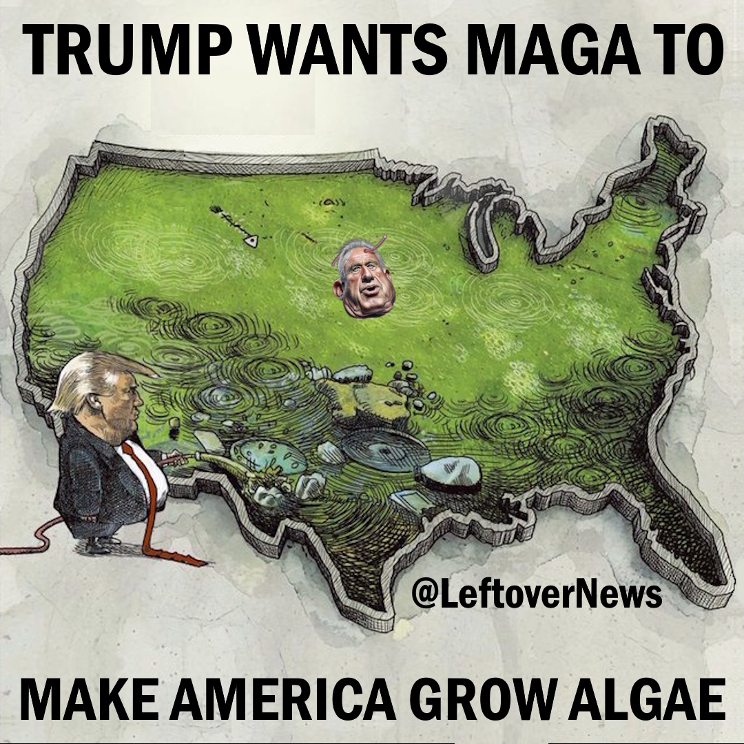 LeftoverNews's tweet photo. @RapidResponse47 @SecDuffy Trump wants MAGA to #MakeAmericaGrowAlgae https://t.co/lvEEDov3qC