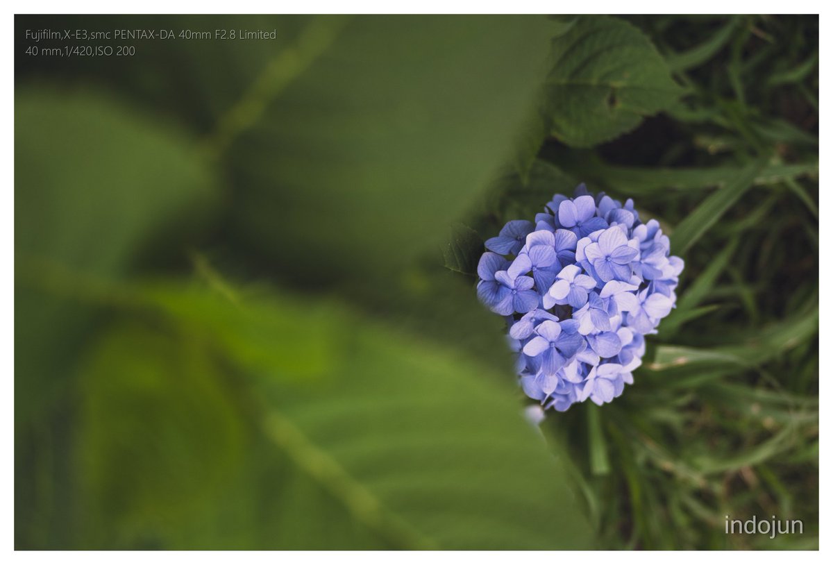 indojun21's tweet photo. スナップ

X-E3 + smc PENTAX-DA40mm F2.8 Limited https://t.co/VMnqSXrKae