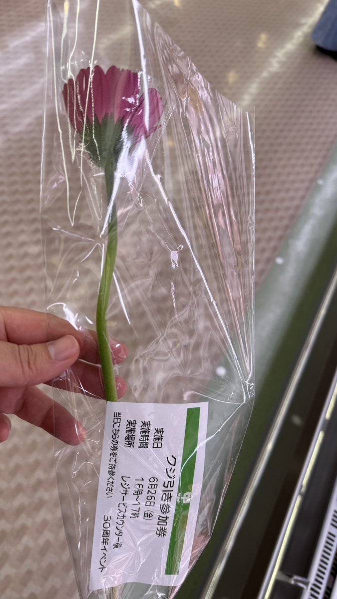 kurprv's tweet photo. スーパー行ったら30周年とかでお花もろた https://t.co/JGGvoL9AWE