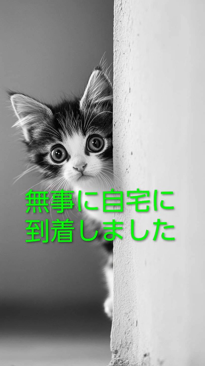kanichi69's tweet photo. 24日15時に無事に自宅到着
16時には総括マネージャー
や担当者🥰が自宅に来て○
足り無い物や動き難い所を
チェック☑️部屋の隅々まで
 動線を考え沢山の大工🔨
 仕事を派遣して早速💨に
15分後⏰に業者さんが🔨
見えられプロの目👀からの
アドバイスして頂きベッド
の立ち上がり補助器具を取り付け🆗‼️ https://t.co/yAd2ye8ItD
