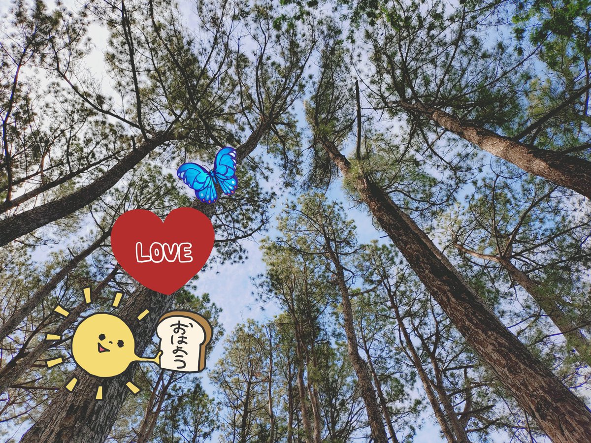 chibbta's tweet photo. 🪻でもニュースみたら🪻東北地方で地震があったことを知り🥹皆さん無事でありますように🪻🐈🐈🐈🌸地球が揺れませんように🌸🐈🐈🐈🪻💖🍀🌸毎日どこにいてもきみも貴方もみんにゃも健やか元気で無事であり続けますように💖🐈🐈🐈🐈🐈🌸🍀💖🪻想いました🪻🐈🐈🐈🐈🐈🪻💖🍀🌸🪻💖🍀🌸 https://t.co/E0eHfm4izA