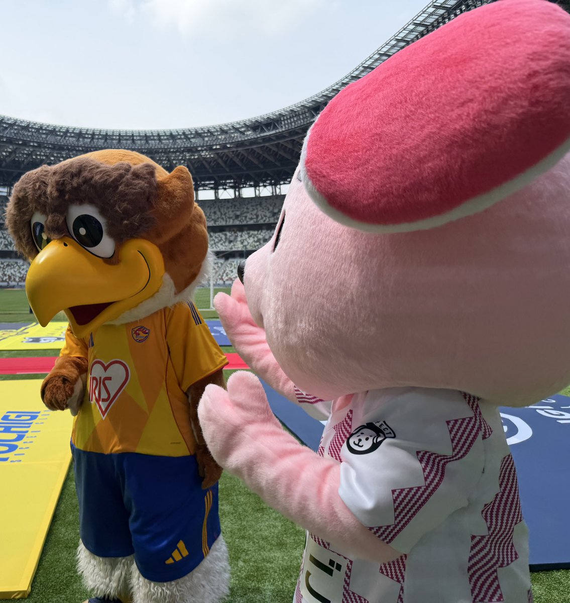 jarokun_55tgv's tweet photo. おはようございます☀

きょうは、ベガッ太せんぱいとのはじめましてのしゅんかん📸

せんぱいはとてもかっこよで、おしゃれでした。すてきなかめんつけてました。

きょうも、みんな犬吉だよ🌻へへへ https://t.co/PpP3FA85k1