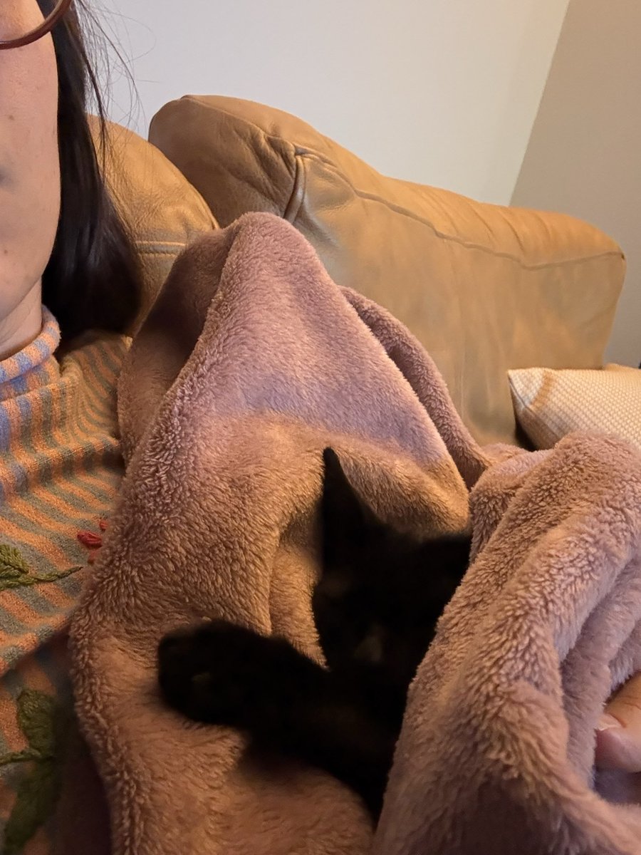 exausta_____'s tweet photo. Se não colocar a bonita pra dormir ela fica miando madrugada adentro https://t.co/U9yPkXyoOv