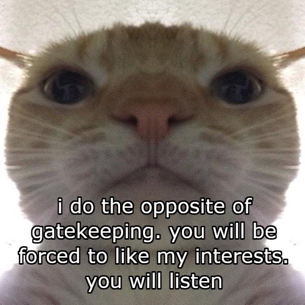 meme__jpg's tweet photo. https://t.co/lV3T2hCNdD