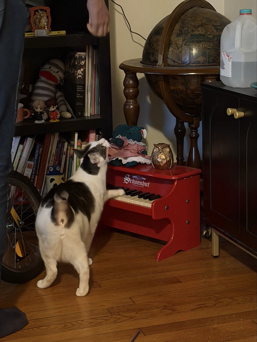 macklecat's tweet photo. I must practice piano https://t.co/ewk9XNbo4p