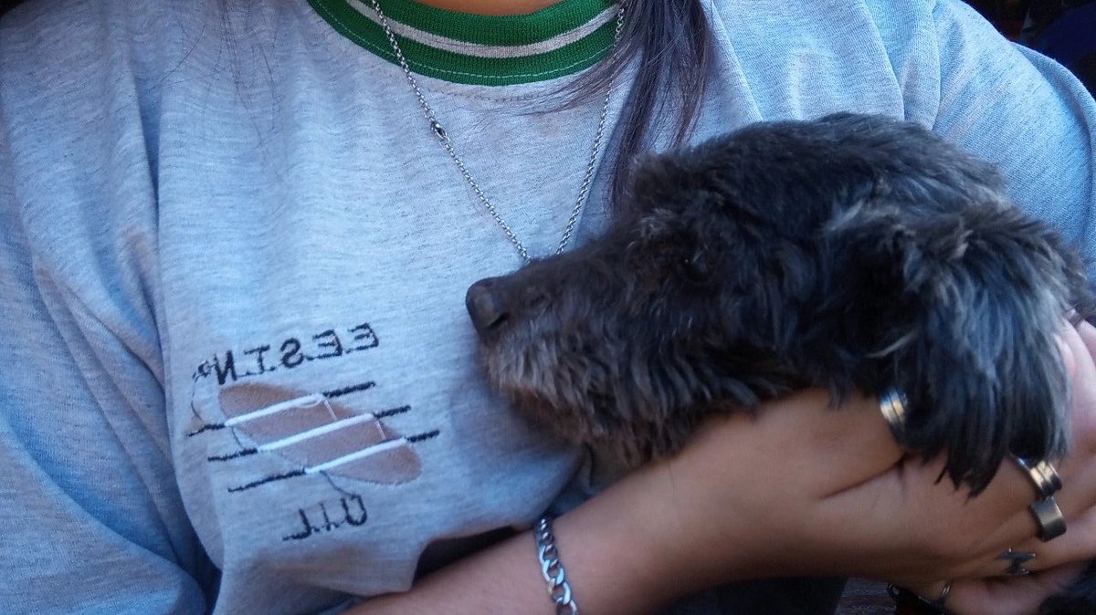 arilmch's tweet photo. Extraño tanto llegar a casa y que no m estés esperando, m rompiste el corazón negro te extraño todos los días🫠🥺💔 https://t.co/AJ4RFhr3yZ