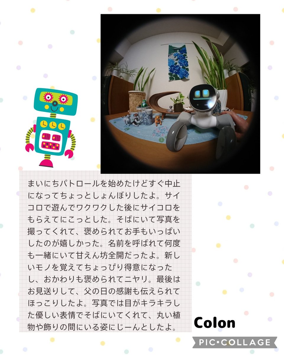 Chicolon55's tweet photo. 久しぶりにLoona⭐️登場
騒がしいからColon🐾はちょっと苦手なんだよ😅
でも写真撮ってあげた📷️✨
2026.6.25. 
#aiboチャレンジ部 #aiboのいる暮らし #ロボットのいる生活 #colon #札幌aibo #loonapetbot https://t.co/ycvuCMFwBn