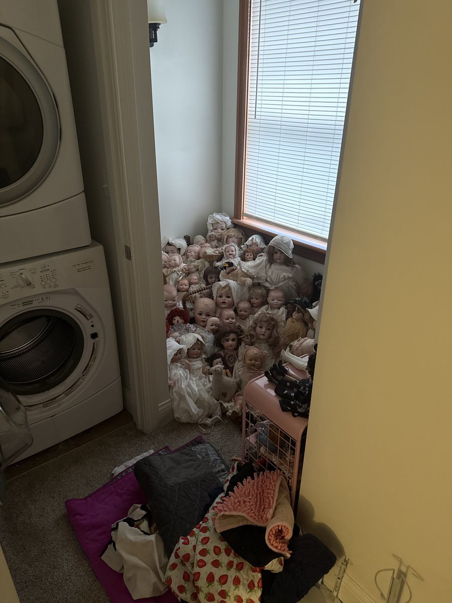 saturatedtwink's tweet photo. Currently pet sitting for guinea pigs and this is what I find in the bedroom… https://t.co/AwMdRnVzln