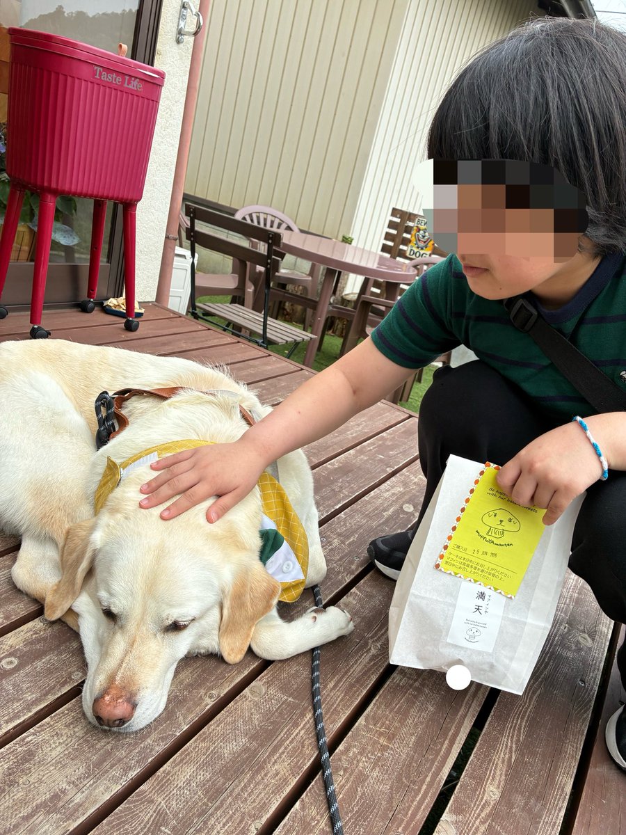 Power_usayama's tweet photo. 鹿島台のマフィン屋さんに行ってきました🌟
看板犬撫でさせてもらった💕 https://t.co/YHXDF1j51p
