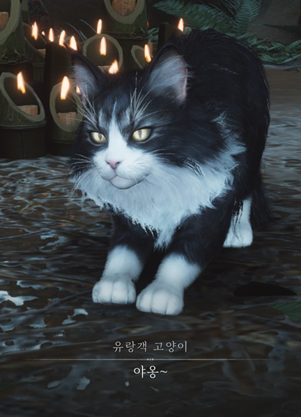 gentlegalmaegi's tweet photo. 아니 강숙묘 시발 너무 잘생겨서 당황함 https://t.co/rSO5pB5MZi