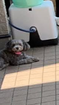 armitjp's tweet photo. @kawanosyunya いました～！ https://t.co/S0im0L3X5Q