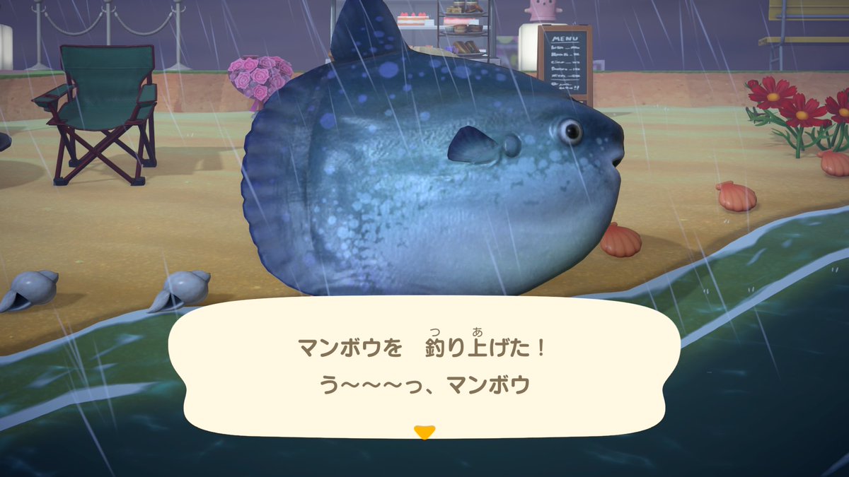 ちぇる tweet media