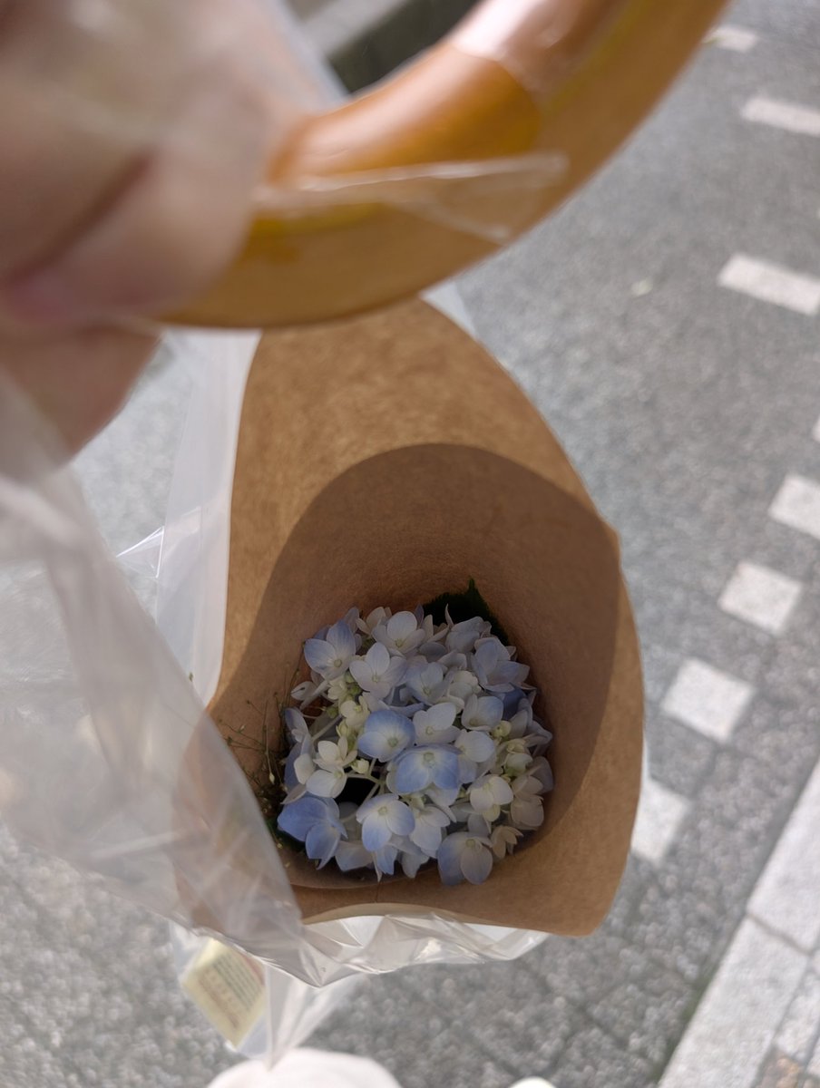 yasuokac's tweet photo. 初花屋、一輪挿しをしてみたいので季節のお花くださいって言った。あじさいらしいです https://t.co/9Bsnzcb9ti