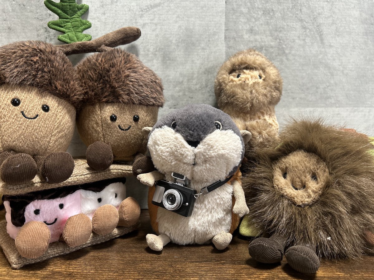 chomu0508's tweet photo. おー！ちゃいろい！

#jellycat
#ジェリーキャット https://t.co/z3ptdkTR0T