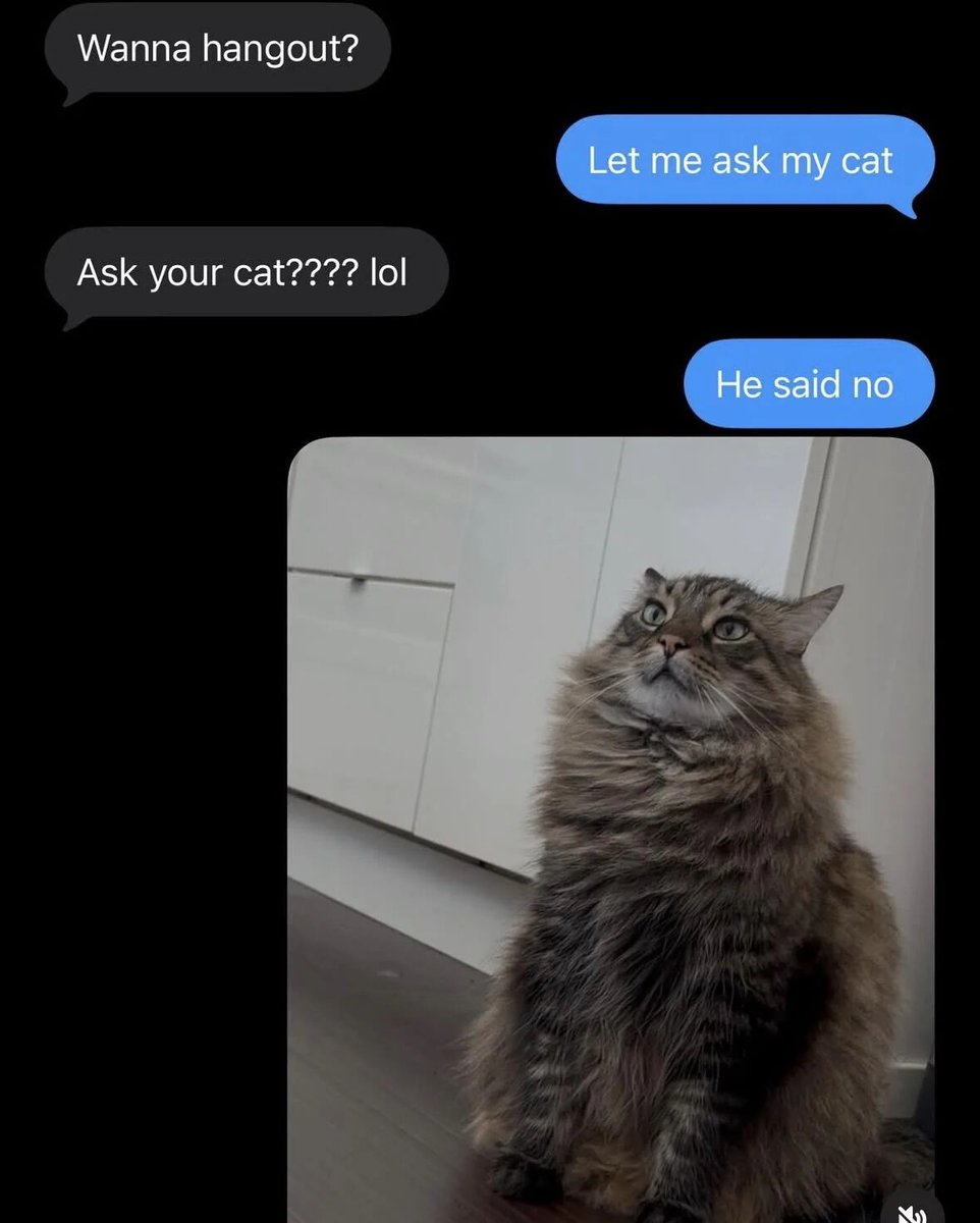 WholesomeMeme's tweet photo. https://t.co/kZezvjQOT4