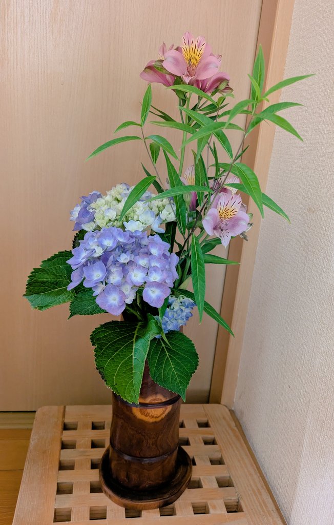 udakapikapi's tweet photo. 濃淡紫陽花🩵💙💜どれにする🤗 https://t.co/oMqIdj0osf