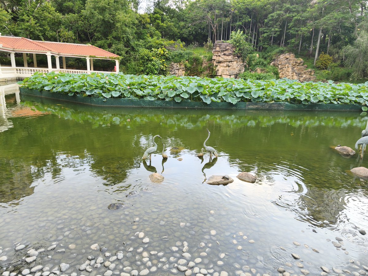 Canyooo's tweet photo. 散歩 https://t.co/6rR9H6Jgxk