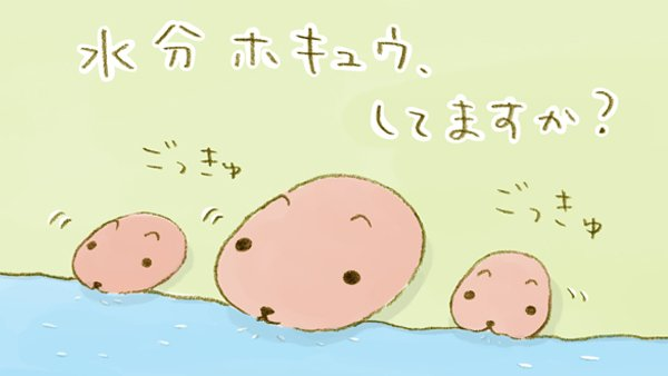 カピバラさん【公式】 tweet media