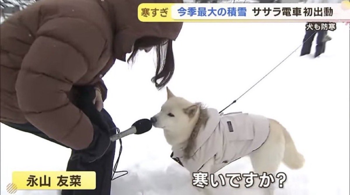 kamonegixx's tweet photo. 毎日こういうニュースでいい https://t.co/vrxhQ0SQ9x