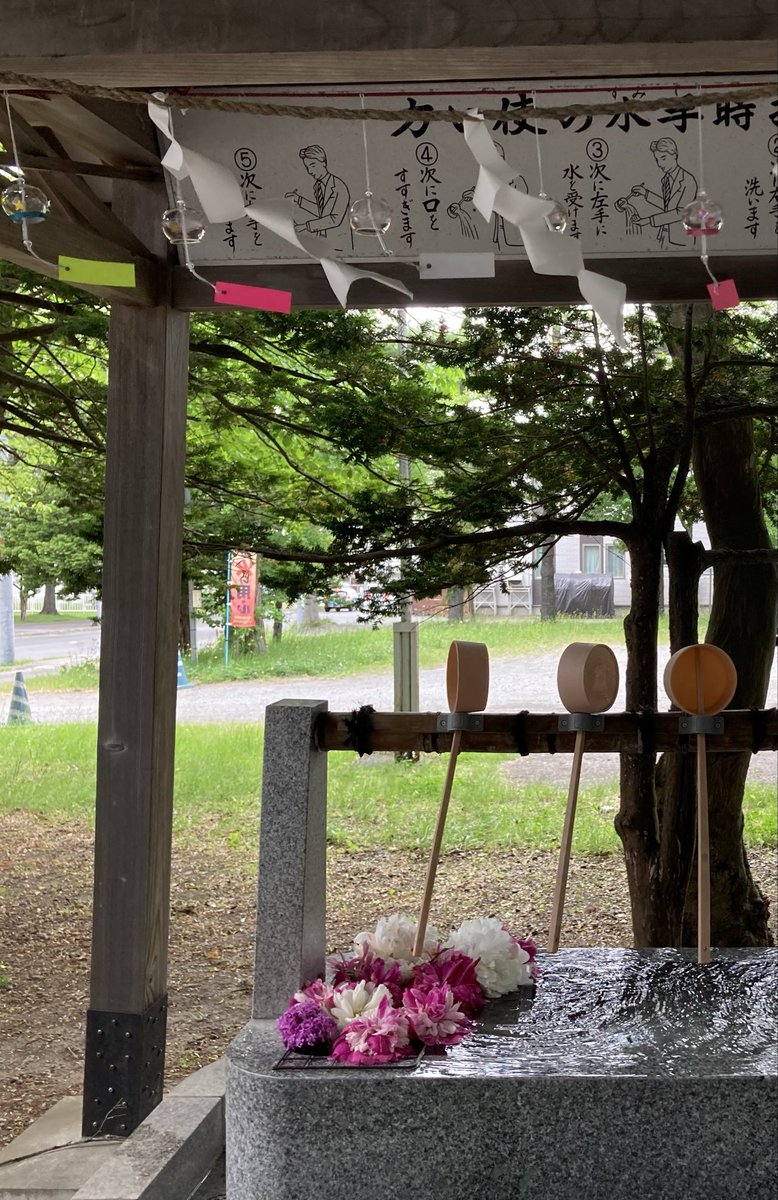 ebetsu_sp's tweet photo. 先日、大麻神社に参拝したところ、境内に風鈴が飾られ🎐手水舎には花が飾られていました。ありがたく美しい気持ちになりました🙏⛩️
#大麻神社　#江別　#江別市　＃神社　#花手水　#風鈴 https://t.co/Ds0stB1msI
