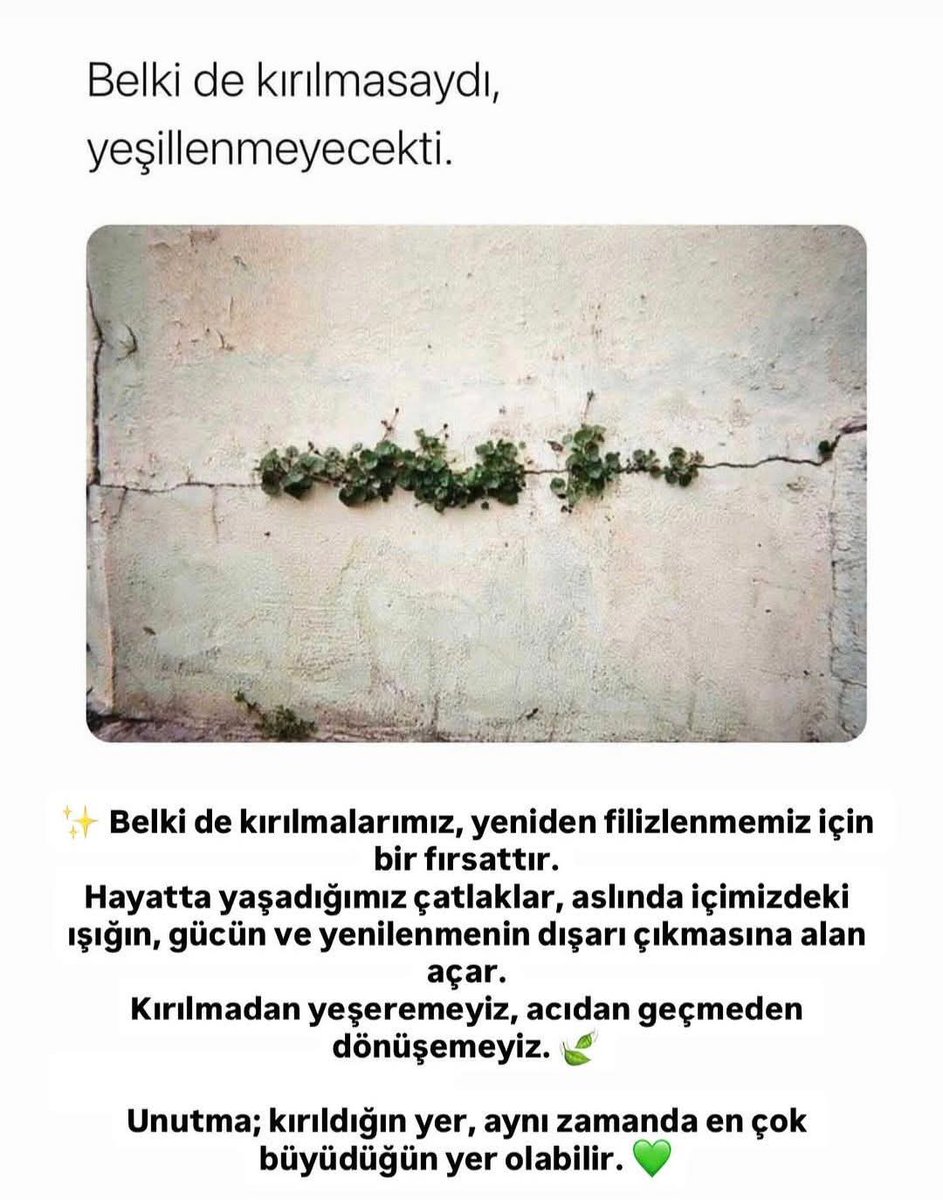 Avucuoglu336's tweet photo. https://t.co/60u1kvCCi6