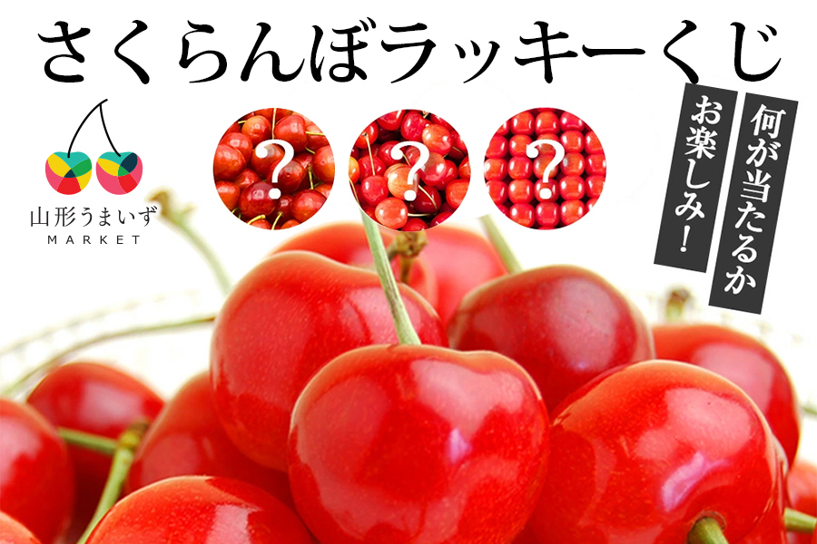 umaies's tweet photo. 新商品【何が届くかはお楽しみ！】山形県産さくらんぼ1kgバラMサイズ以上の規格の中から、旬のさくらんぼをお届けします！Lサイズ以上や並び詰めが届くこともある運試し商品をお楽しみください♪
https://t.co/3F66hU7qEI https://t.co/k5DhjCfK0q