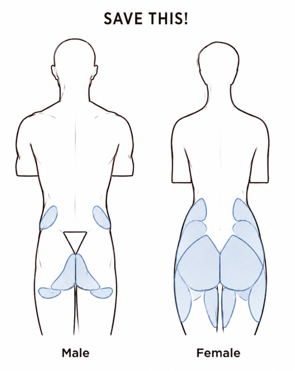 sodaguyx's tweet photo. male vs female https://t.co/DdQKkEKFgW