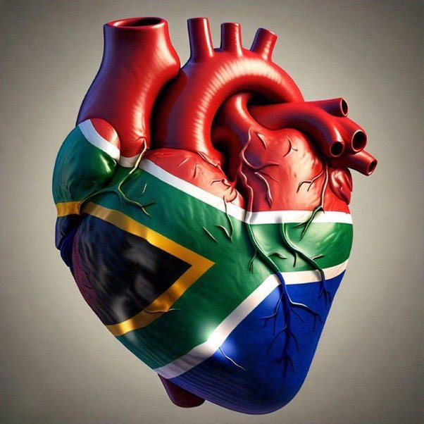 ramichuene's tweet photo. Dankie @BafanaBafana Dankie South Africa. What a nation, what a people! I choose you over and over again!!! #BafanaKaofela #FifaWorldCup #BafanaPride https://t.co/PnYNTXa9tz