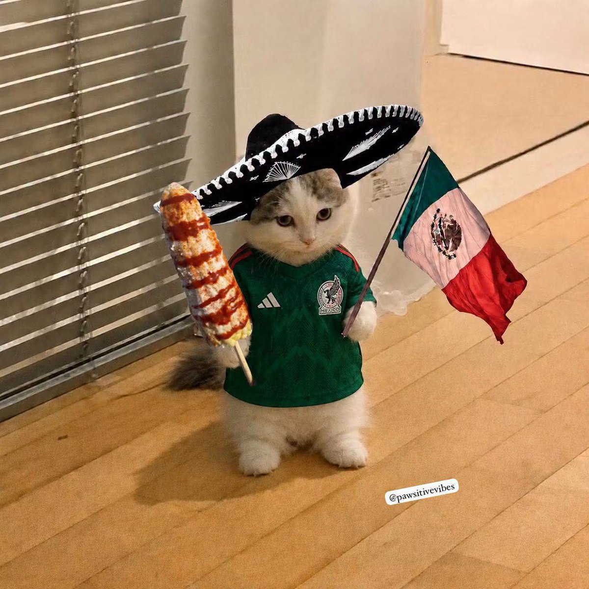 En_jupiter_'s tweet photo. Ganamoooooooos¡¡¡MI PAÍS!!! ¡¡¡MI PAÍS!!! 🇲🇽🇲🇽🇲🇽

🇲🇽 México 3 - 0 Chequia 🇨🇿 https://t.co/jZp4mr8rPa