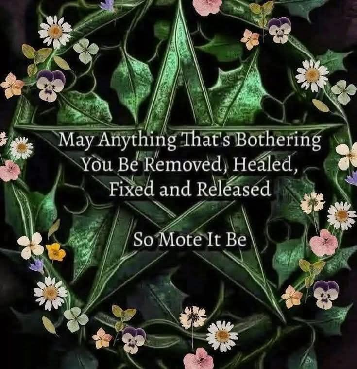 GrannyMooninVA's tweet photo. https://t.co/vih9zoK0py