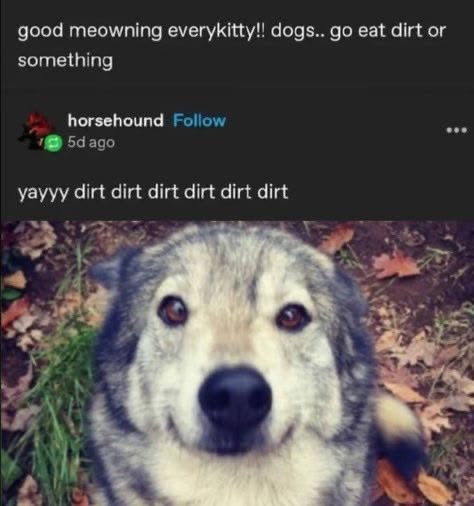 Astroellezz's tweet photo. Dirt amaze amaze amaze #phm #projecthailmary https://t.co/ny2bSW6rTU