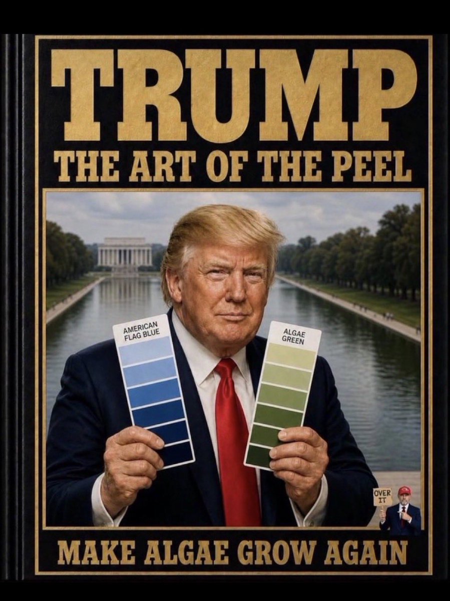 treanabelle's tweet photo. @BasedAF1776X @nicksortor Get a grip! You know exactly who’s responsible for this. https://t.co/03onQcbiGp