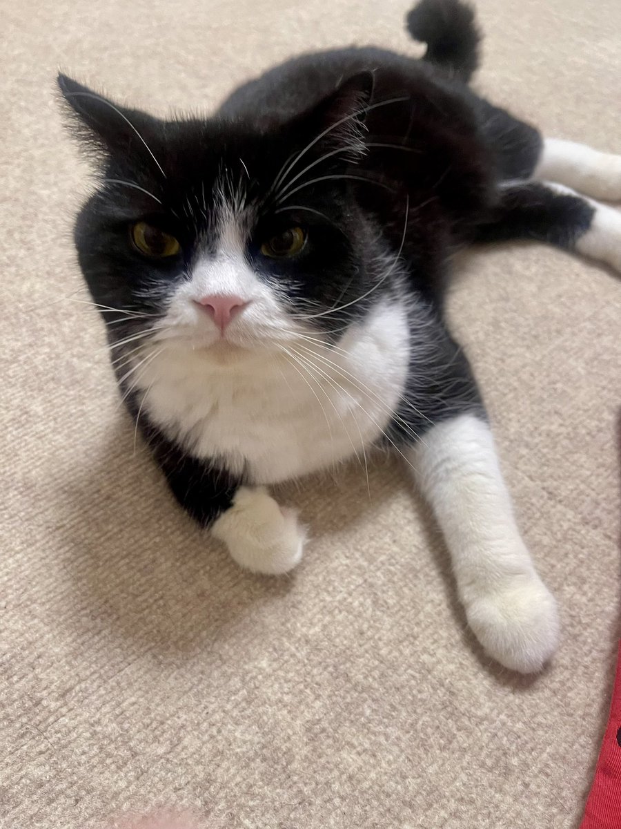 たろう (@taro20216) / Posts / X