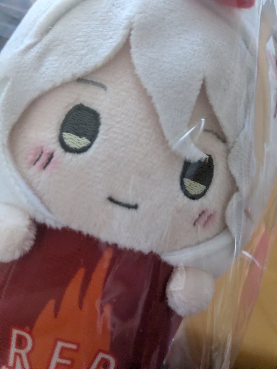 ankepura's tweet photo. 買ったの忘れてたけどとどいた https://t.co/GbktwiemJq