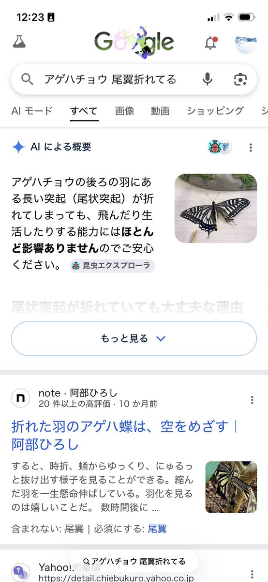 hadamelo's tweet photo. 保育園のアゲハチョウの幼虫、今朝「ちょうちょになったんですよ！」と先生。
「え、ほんとですか！？」と超マジな私。
本当に蝶々になってる。感動。。
「だけど羽の下の部分が折れちゃってて…早く放してあげないと」と先生。

今調べたら、飛ぶのに問題ないとのこと。よかった。 https://t.co/VSSy8eLdJG